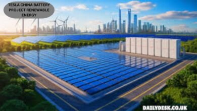 Tesla China Battery Project Renewable Energy