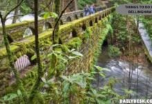 Things to Do in Bellingham